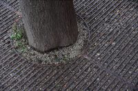 Bus Stop Zen Garden