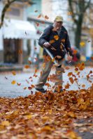 Another kind of autumn wind