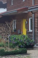 Click to enlarge: Yellow Door