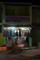 Click to enlarge: Orchid Plaza [f/4.5, 1/15 sec, 50mm-e, ISO 800, Sony A700]