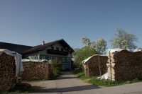 Wood In Front Of The Cabin