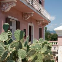 Opuntia, House