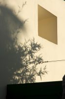 Shadows Of Life