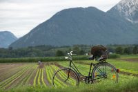 Click to enlarge: The Peasant's Bike [f/4.5, 1/500 sec, 80mm-e, ISO 200, Sony A700]
