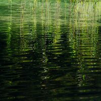 Thumsee Ripples