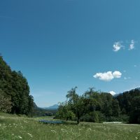Summer Reminiscence