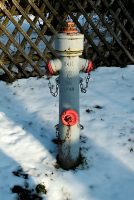 Click to enlarge: Bavarian Hydrant [f/3.5, 1/800 sec, 28mm-e, ISO 160, DMC-G3]