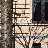 Click to enlarge: Kilroy Is Watching .1, 1/640 sec, 40mm-e, ISO 160, DMC-G3]