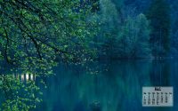 Click to enlarge: spring2life_may12_128x800