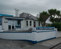 Fresh Fish Shop