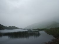 Rain over Pollacappul Lough