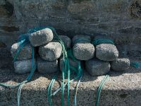Net Weights