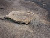 Bearded Stone