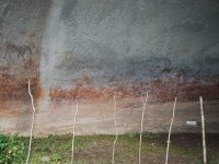 Cave Paintings