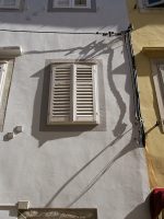 Wall Snake