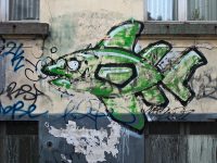 Wallfish