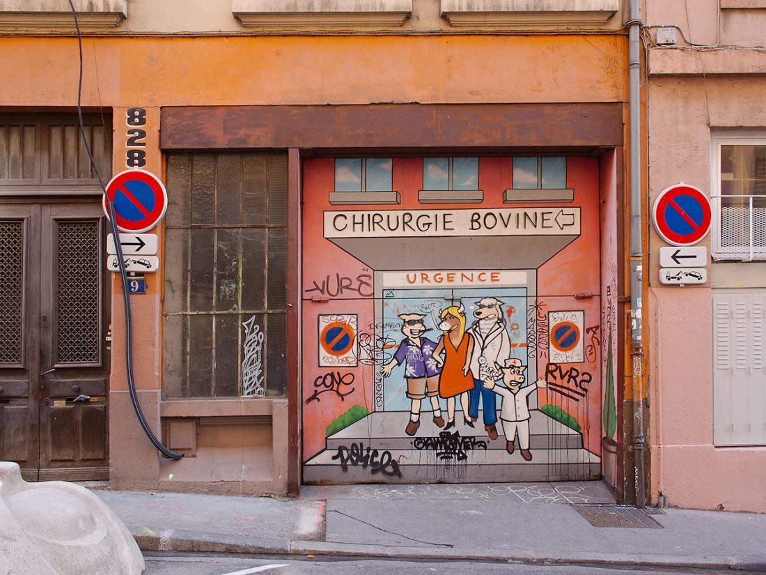 Chirurgie Bovine: Blog, Graffiti, Urban