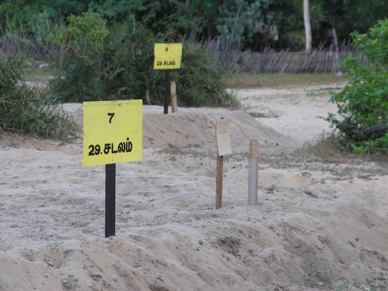 Post Tsunami Mass Graves Batticaloa. Tagged with Orte/Sri Lanka/Batticaloa