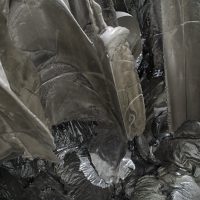 Material World
