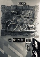 This Direction