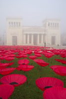 Red Poppies revisited