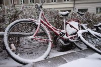 Got Winter