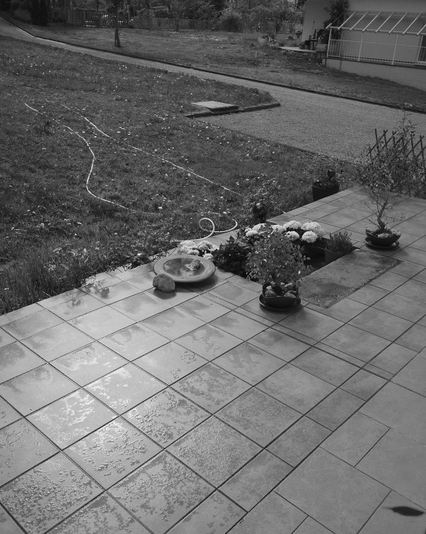 Rainy Tiles and Anaconda, Bad Reichenhall, terasse, hosepipe, garden