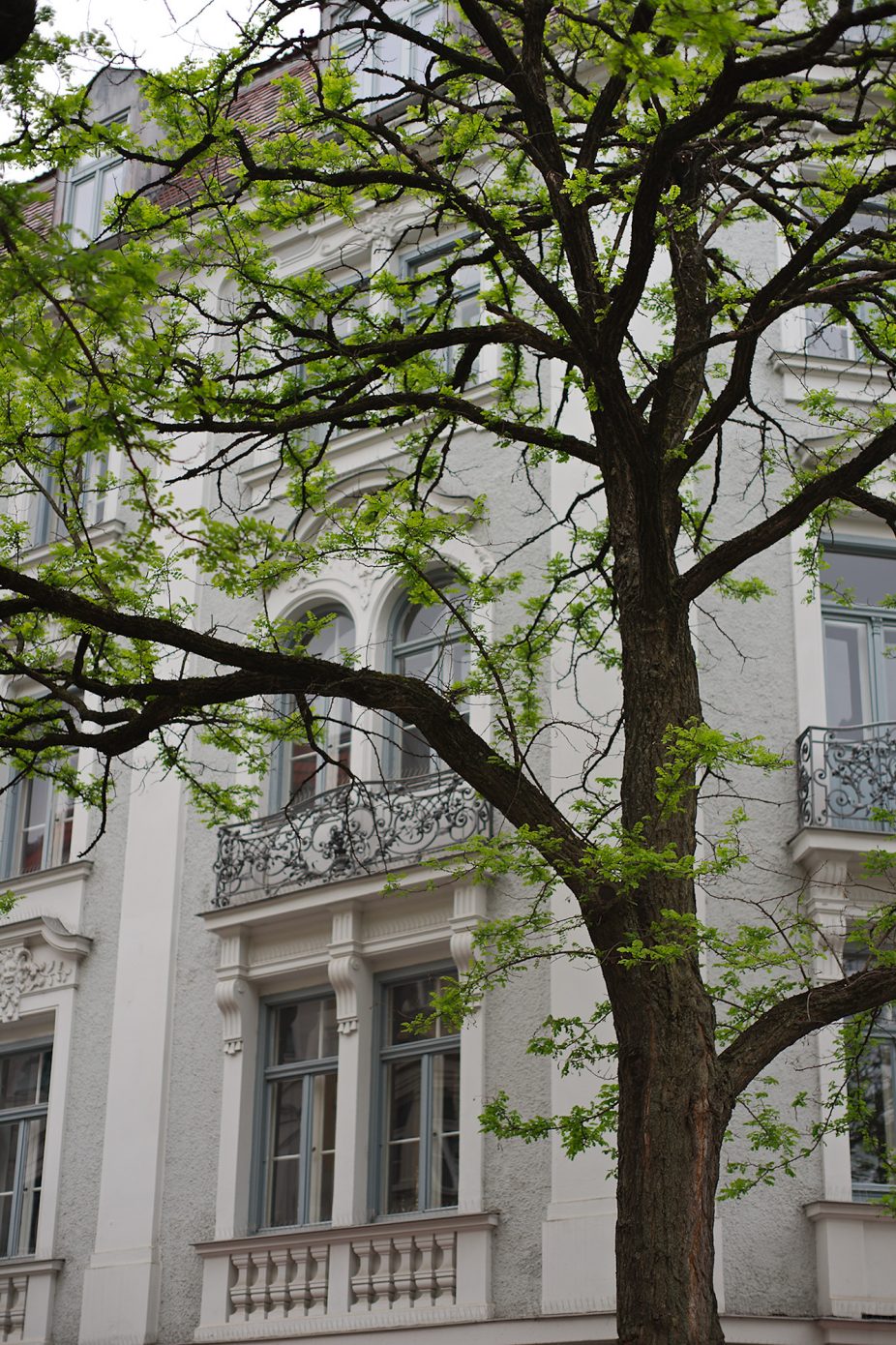 City Tree. Tagged with Lens, Minolta 1.2 58mm, Urban