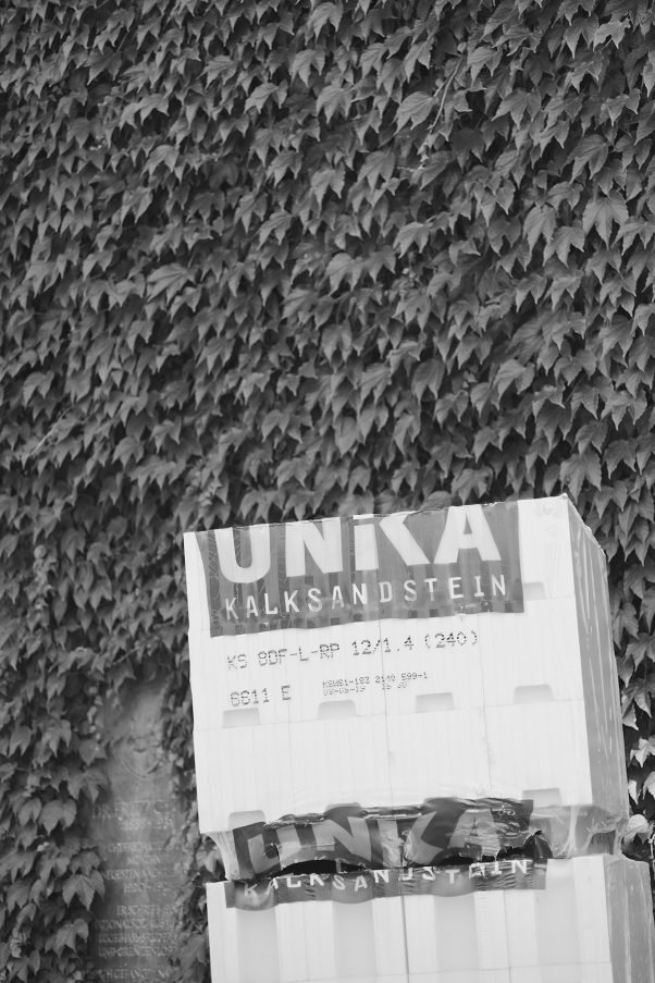 Intruder: Huge bricks stacked in front of an ivy-overgrown wall, Färbergraben 16, Munich, geotagged, Black & White, Pentax-M 2.0 85mm, Sony A7ii, Urban