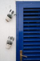 Cool Blue