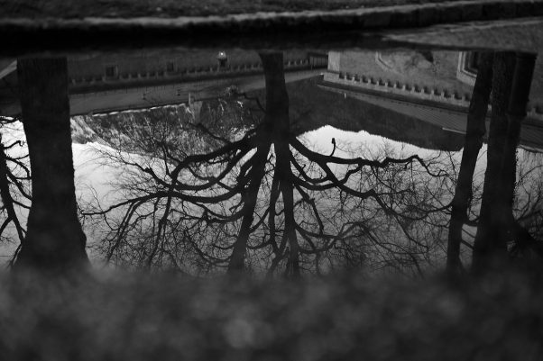 Upside Down, Alte Saline, Bad Reichenhall, Black & White, City Trees, Urban