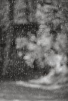 Spring Rain