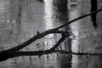 Icy Pond Reflection