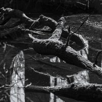 Log Patterns