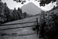 Mountain Pastures