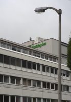 Holiday Green