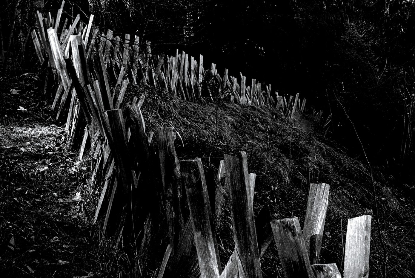 Wooden_Fence.jpg