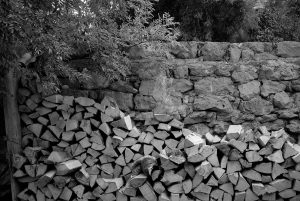 Wood | Wall