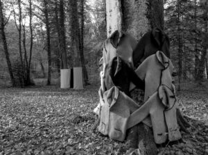 Clothed Trees