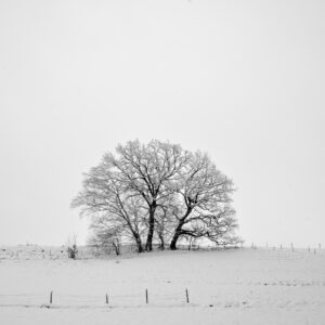 Looking away from Höglwörth