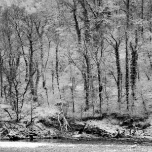 Winter at the River