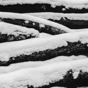 Heap of Logs