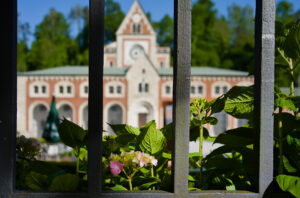 Behind the Fence