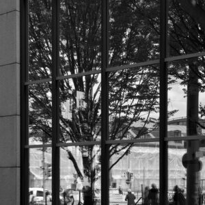 Reflected Reality