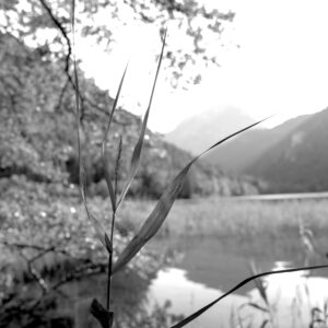 Away from the City