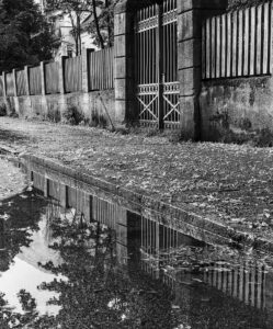 Fence and Puddle