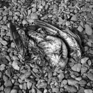 Memento Mori