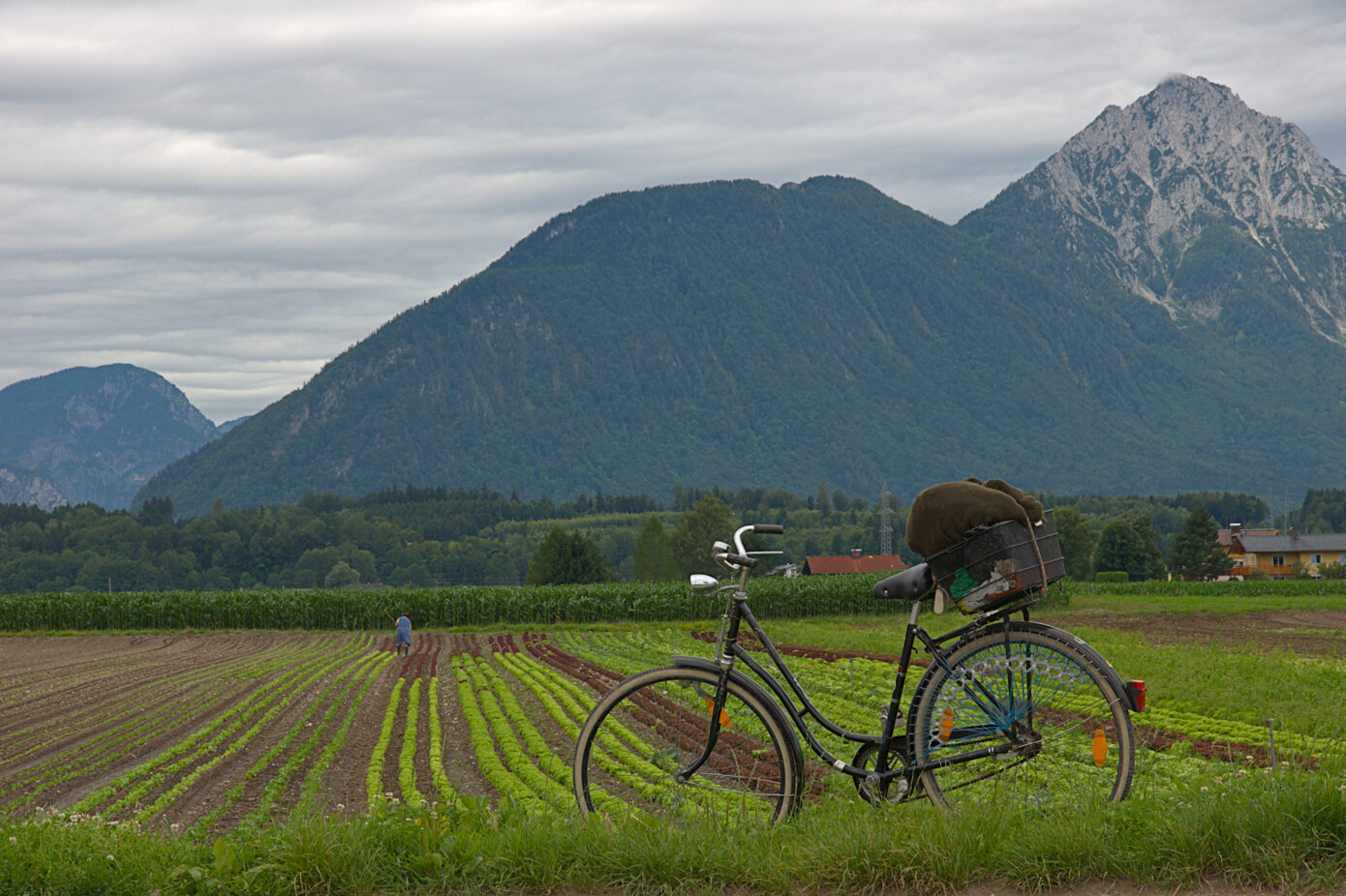 Fahrrad_und_B_uerin.jpg