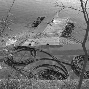 Seaside Still-Life