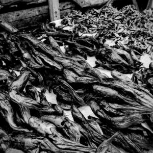 Dried Fish I